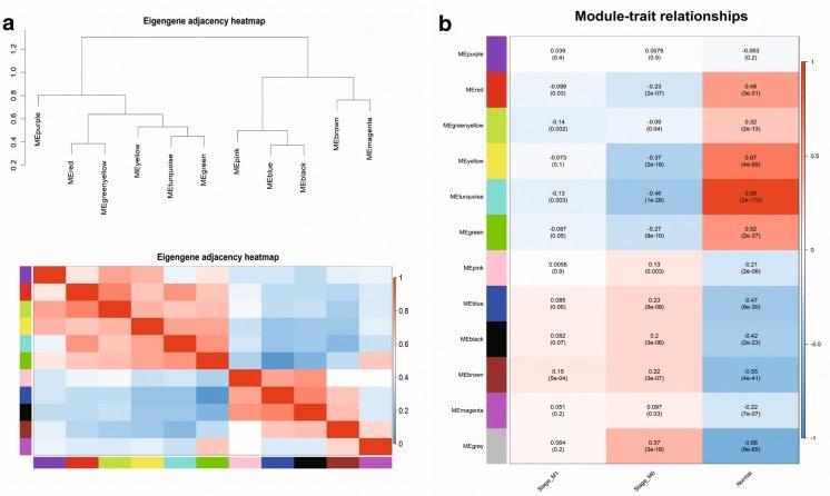 https://cdn.ncbi.nlm.nih.gov/pmc/blobs/fcb6/7106634/264e52b03a6d/12935_2020_1180_Fig4_HTML.jpg