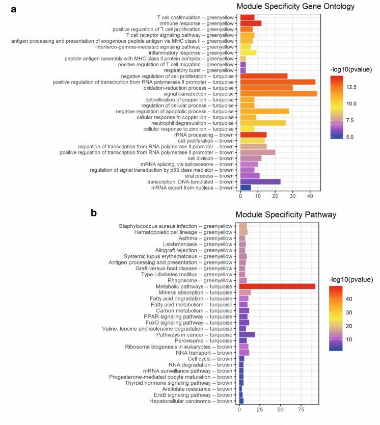 https://cdn.ncbi.nlm.nih.gov/pmc/blobs/fcb6/7106634/32fd8fc7ce5c/12935_2020_1180_Fig5_HTML.jpg