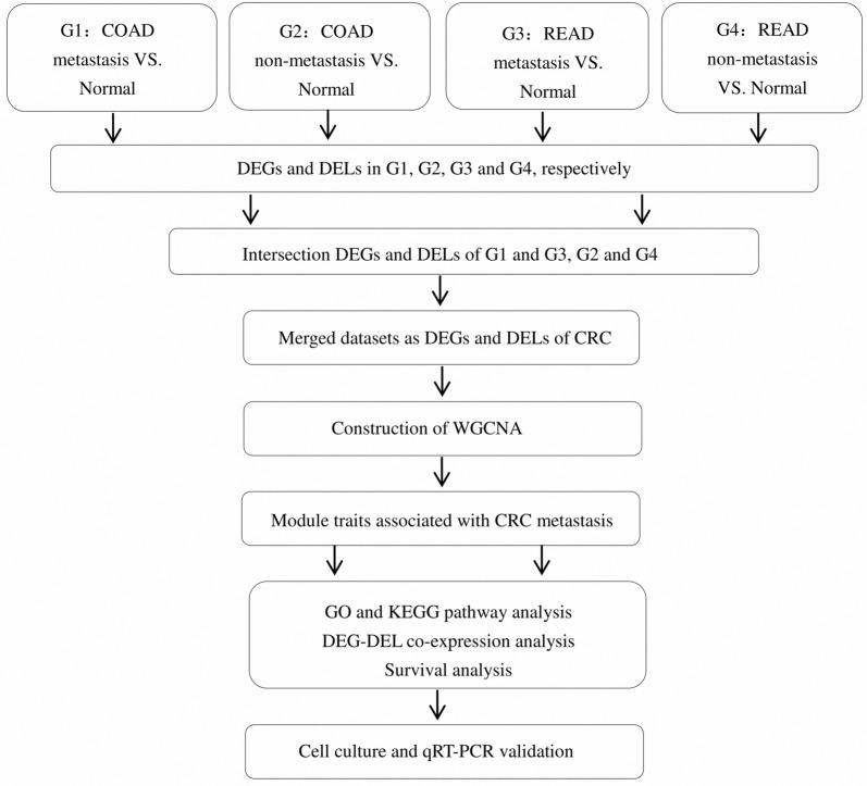 https://cdn.ncbi.nlm.nih.gov/pmc/blobs/fcb6/7106634/3dc685bbcd79/12935_2020_1180_Fig1_HTML.jpg