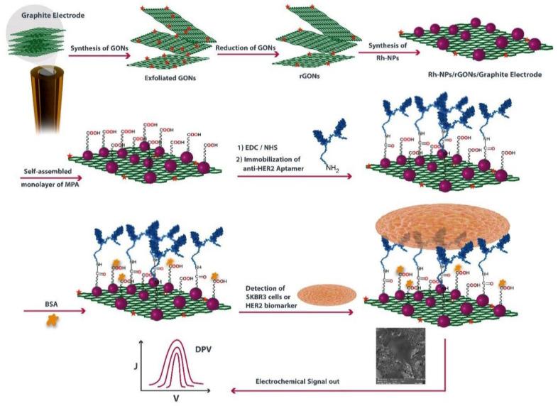 https://cdn.ncbi.nlm.nih.gov/pmc/blobs/fcb7/10136762/1ee4e0db5e8b/biosensors-13-00481-g004.jpg