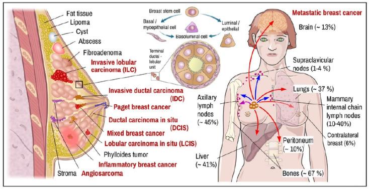 https://cdn.ncbi.nlm.nih.gov/pmc/blobs/fcb7/10136762/93fd345e7280/biosensors-13-00481-g001.jpg
