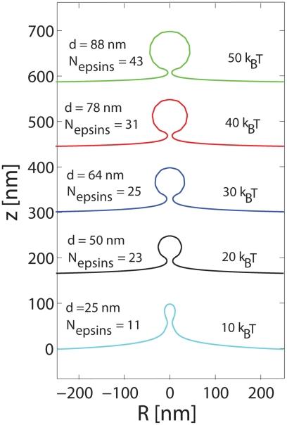 https://cdn.ncbi.nlm.nih.gov/pmc/blobs/fcb8/2936510/f6163001d386/pcbi.1000926.g004.jpg
