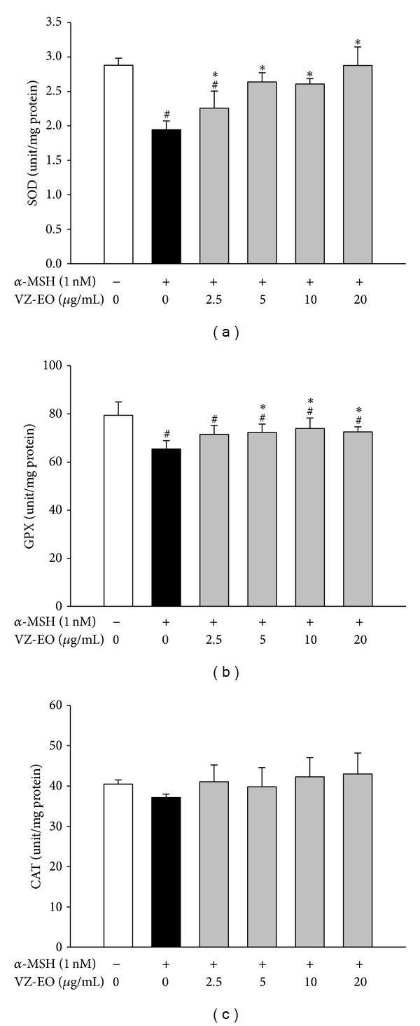 https://cdn.ncbi.nlm.nih.gov/pmc/blobs/fcb9/3977460/618e9566aaf1/TSWJ2014-213013.005.jpg