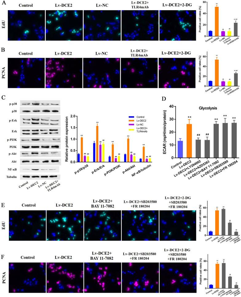 https://cdn.ncbi.nlm.nih.gov/pmc/blobs/fcba/10364423/2873dc4dbf88/10020_2023_672_Fig7_HTML.jpg