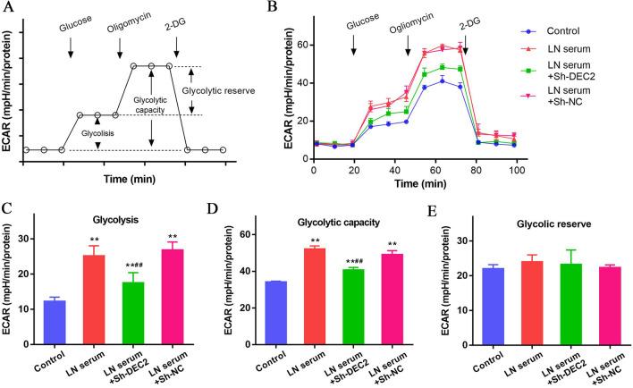 https://cdn.ncbi.nlm.nih.gov/pmc/blobs/fcba/10364423/4f798823a3cf/10020_2023_672_Fig4_HTML.jpg