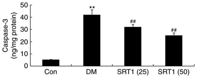 https://cdn.ncbi.nlm.nih.gov/pmc/blobs/fcbd/6323206/0ab434a4b995/MMR-19-02-1040-g05.jpg