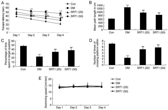 https://cdn.ncbi.nlm.nih.gov/pmc/blobs/fcbd/6323206/17b397a1f7a5/MMR-19-02-1040-g01.jpg