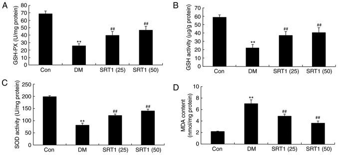 https://cdn.ncbi.nlm.nih.gov/pmc/blobs/fcbd/6323206/60bffd9fbbc1/MMR-19-02-1040-g02.jpg