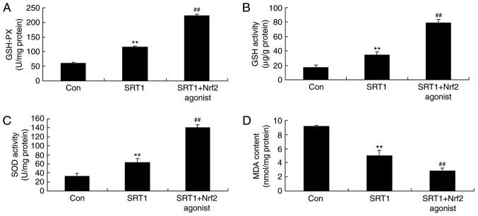 https://cdn.ncbi.nlm.nih.gov/pmc/blobs/fcbd/6323206/7b8a3ccbe57a/MMR-19-02-1040-g09.jpg