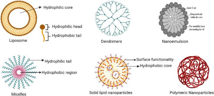 https://cdn.ncbi.nlm.nih.gov/pmc/blobs/fcbf/11579242/4059cd41a38b/WNAN-16-e1997-g002.jpg