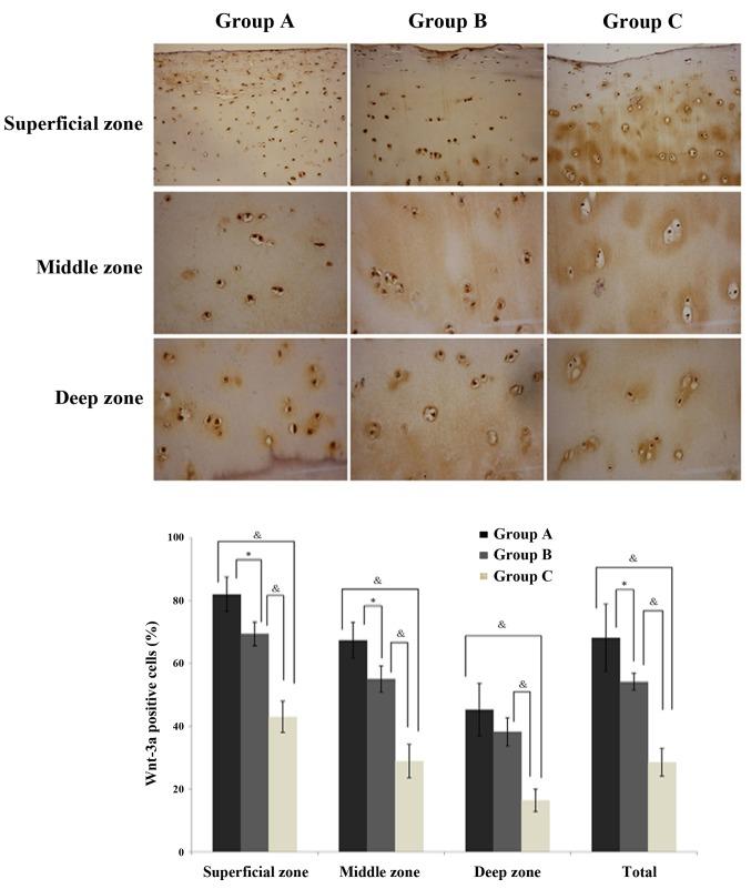 https://cdn.ncbi.nlm.nih.gov/pmc/blobs/fcc1/4768959/e49a17891b9e/MMR-13-03-1999-g02.jpg