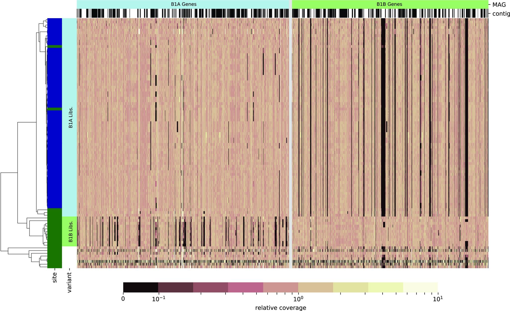 https://cdn.ncbi.nlm.nih.gov/pmc/blobs/fcc1/8636109/2250479c316e/msphere.00851-21-f003.jpg