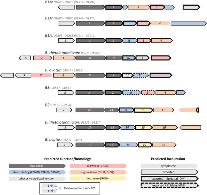 https://cdn.ncbi.nlm.nih.gov/pmc/blobs/fcc1/8636109/8fb8a378710b/msphere.00851-21-f002.jpg