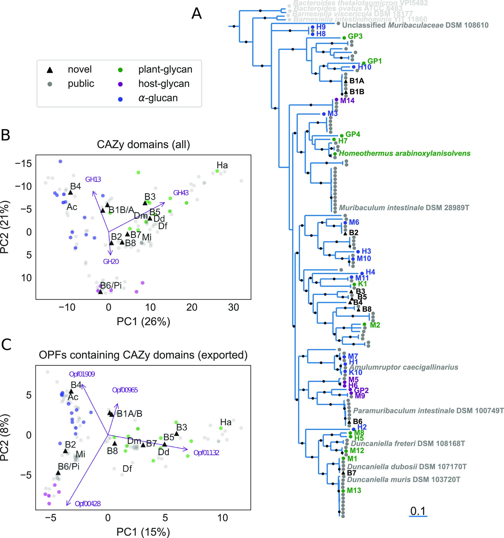 https://cdn.ncbi.nlm.nih.gov/pmc/blobs/fcc1/8636109/e8a70864ae5a/msphere.00851-21-f001.jpg