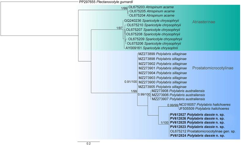 https://cdn.ncbi.nlm.nih.gov/pmc/blobs/fcc3/12291546/59ab1f283727/parasite-32-44-fig8.jpg