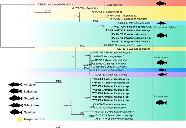https://cdn.ncbi.nlm.nih.gov/pmc/blobs/fcc3/12291546/6111ae6a68c6/parasite-32-44-fig7.jpg