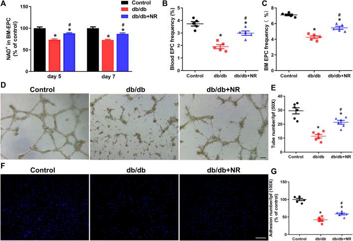 https://cdn.ncbi.nlm.nih.gov/pmc/blobs/fcc4/8149616/33e09fc7caa7/fphar-12-671563-g003.jpg