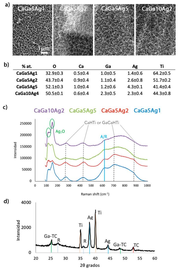 https://cdn.ncbi.nlm.nih.gov/pmc/blobs/fcc6/10218222/89acb3b17dcc/ijms-24-08762-g003.jpg