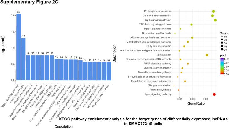 https://cdn.ncbi.nlm.nih.gov/pmc/blobs/fcc8/11031791/ca90f972c274/mmcfigs6.jpg