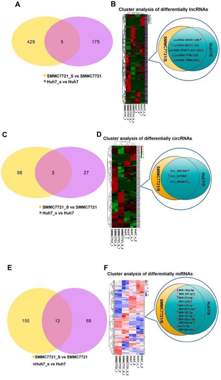 https://cdn.ncbi.nlm.nih.gov/pmc/blobs/fcc8/11031791/ec7a63417df3/gr2.jpg