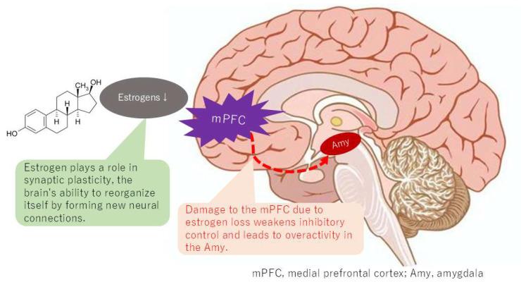 https://cdn.ncbi.nlm.nih.gov/pmc/blobs/fcc9/12030133/3c71a6dc7025/neurolint-17-00061-g005.jpg