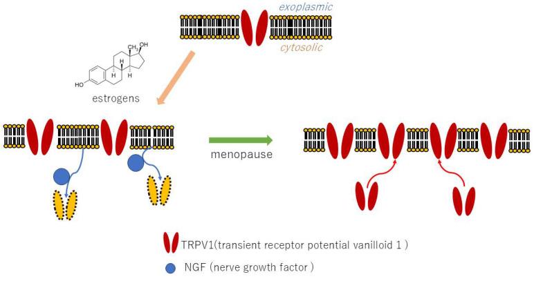 https://cdn.ncbi.nlm.nih.gov/pmc/blobs/fcc9/12030133/3e9089f5c3e7/neurolint-17-00061-g002.jpg