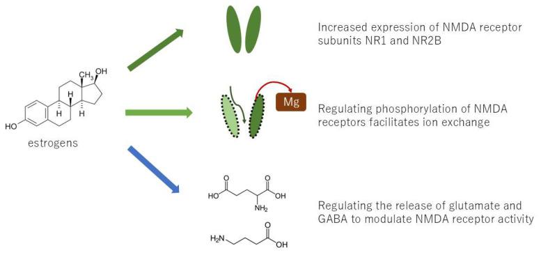 https://cdn.ncbi.nlm.nih.gov/pmc/blobs/fcc9/12030133/cf418389b957/neurolint-17-00061-g003.jpg