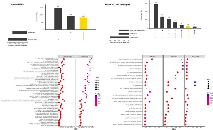 https://cdn.ncbi.nlm.nih.gov/pmc/blobs/fccc/10545883/d15771c812f0/fbioe-11-1256825-g006.jpg