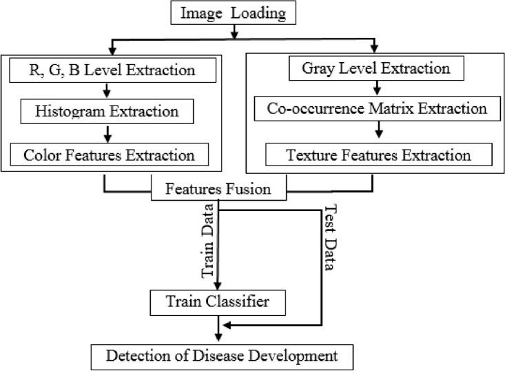 https://cdn.ncbi.nlm.nih.gov/pmc/blobs/fcce/10805740/c9b0b9a25912/41598_2023_50948_Fig5_HTML.jpg