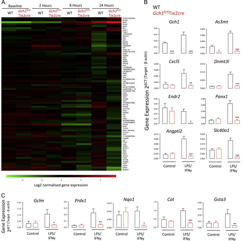 https://cdn.ncbi.nlm.nih.gov/pmc/blobs/fcce/4344222/ab5c077d8a62/gr6.jpg