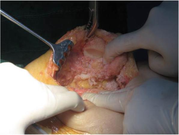 https://cdn.ncbi.nlm.nih.gov/pmc/blobs/fcce/8796588/3c6823702b67/42836_2020_36_Fig5_HTML.jpg
