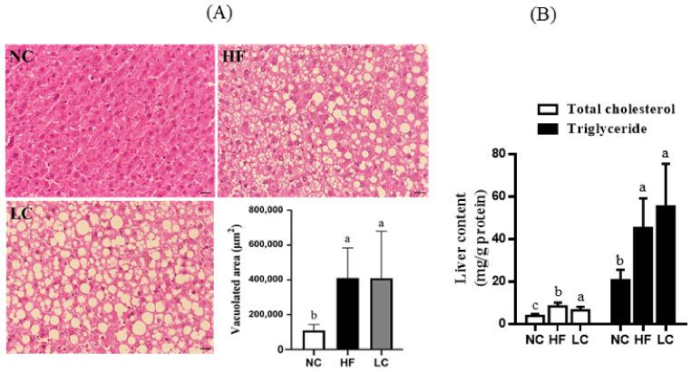 https://cdn.ncbi.nlm.nih.gov/pmc/blobs/fccf/9101890/8cae2eb95807/nutrients-14-01796-g003.jpg