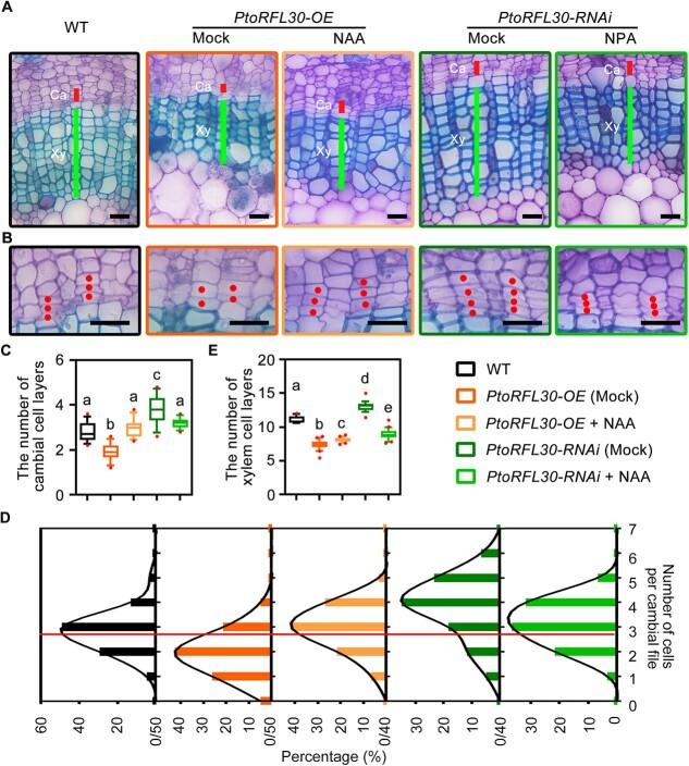 https://cdn.ncbi.nlm.nih.gov/pmc/blobs/fcd2/11377185/d49d41c10482/uhae188f6.jpg