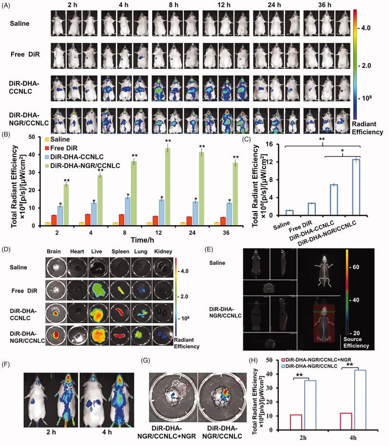 https://cdn.ncbi.nlm.nih.gov/pmc/blobs/fcd7/8530486/2376bb5d8116/IDRD_A_1992038_F0006_C.jpg