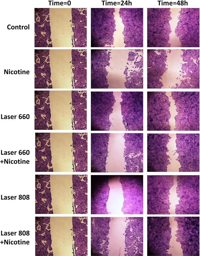 https://cdn.ncbi.nlm.nih.gov/pmc/blobs/fcda/12231746/a628a34fe22a/12903_2025_6386_Fig4_HTML.jpg