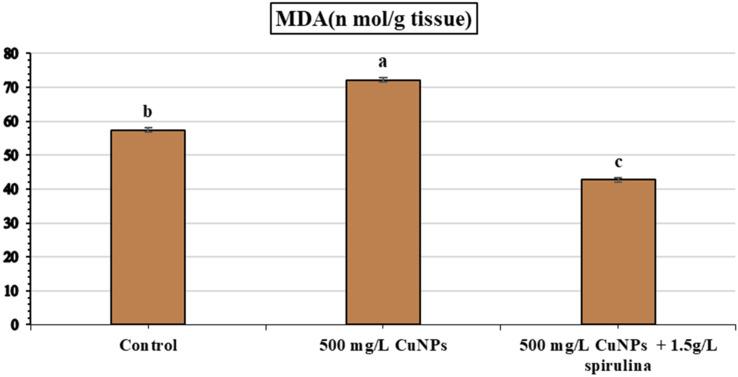 https://cdn.ncbi.nlm.nih.gov/pmc/blobs/fcdb/11157815/22cef937ba4b/12870_2024_5153_Fig4_HTML.jpg