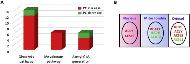 https://cdn.ncbi.nlm.nih.gov/pmc/blobs/fcdc/6543097/3269eda9a829/gr2.jpg