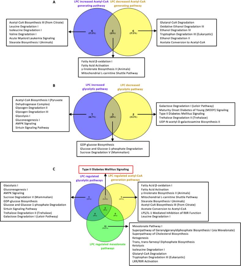 https://cdn.ncbi.nlm.nih.gov/pmc/blobs/fcdc/6543097/7cf4c2f5a129/mmcfigs1.jpg