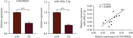 https://cdn.ncbi.nlm.nih.gov/pmc/blobs/fcdd/8257384/9c46980cb4b4/MI2021-9960241.002.jpg