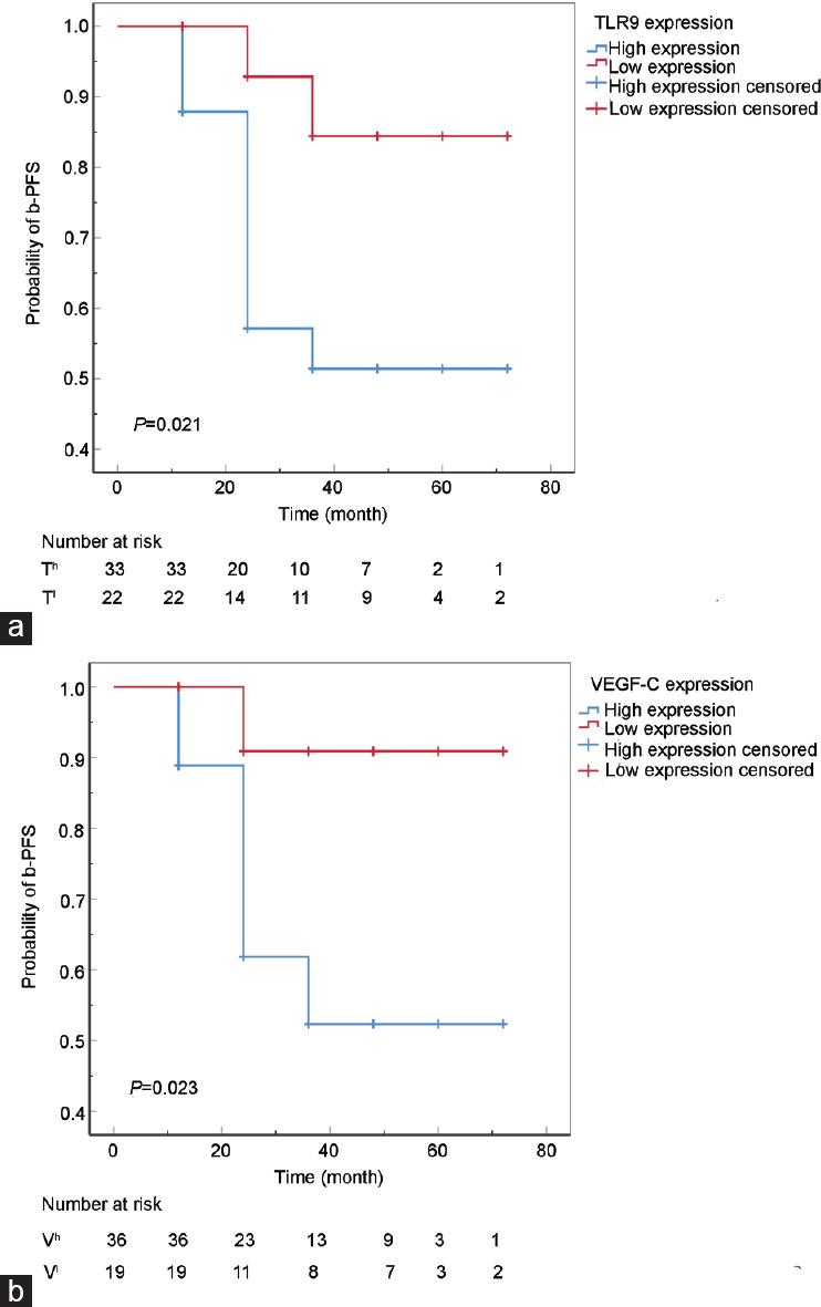 https://cdn.ncbi.nlm.nih.gov/pmc/blobs/fcdd/9295466/7adfd2a1fe72/AJA-24-380-g003.jpg