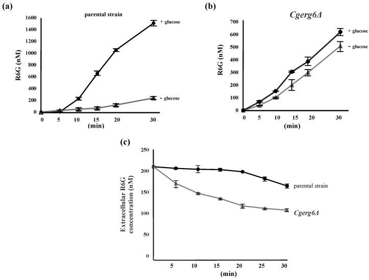 https://cdn.ncbi.nlm.nih.gov/pmc/blobs/fcde/11508597/5bed33c9d377/jof-10-00669-g002.jpg