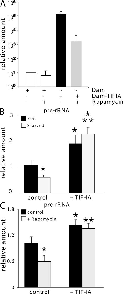https://cdn.ncbi.nlm.nih.gov/pmc/blobs/fcde/2140016/02d7b2ddebd3/jcb1791105f03.jpg