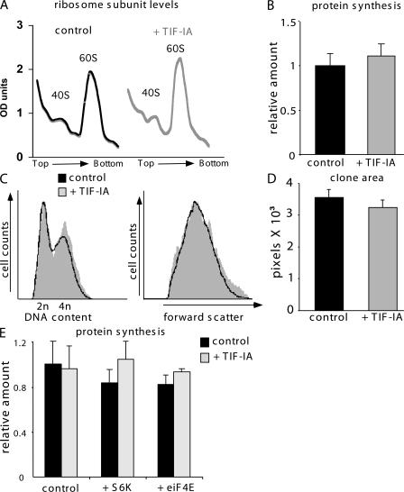 https://cdn.ncbi.nlm.nih.gov/pmc/blobs/fcde/2140016/3bbeae69a04a/jcb1791105f05.jpg