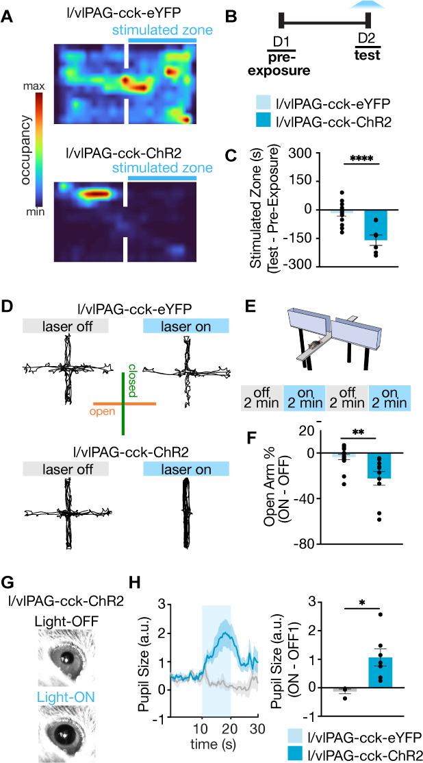 https://cdn.ncbi.nlm.nih.gov/pmc/blobs/fcdf/9224993/366477708d36/elife-77115-fig4.jpg