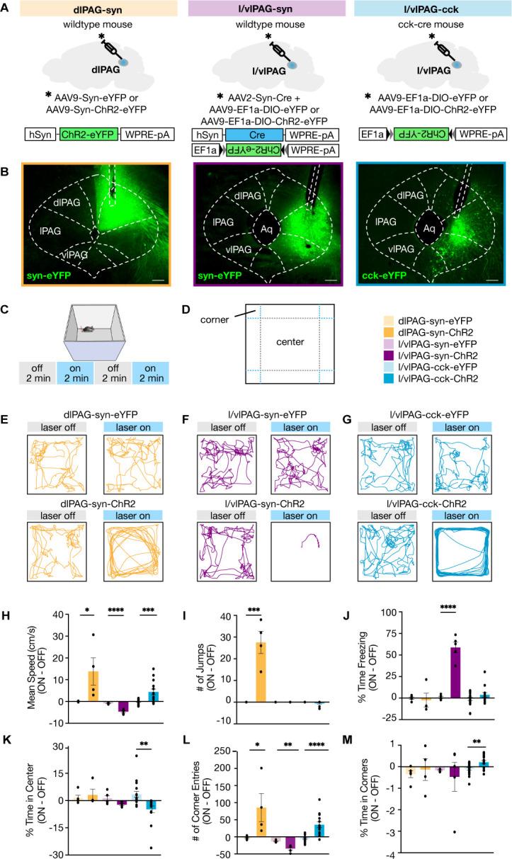 https://cdn.ncbi.nlm.nih.gov/pmc/blobs/fcdf/9224993/37272f04bcd1/elife-77115-fig2.jpg