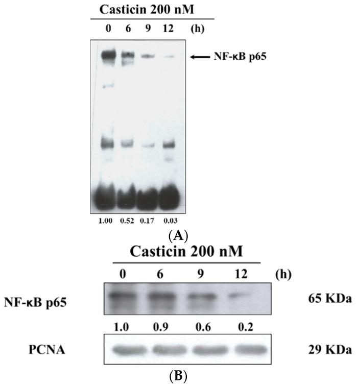 https://cdn.ncbi.nlm.nih.gov/pmc/blobs/fce1/6274196/22de2b2532ef/molecules-21-00384-g006.jpg