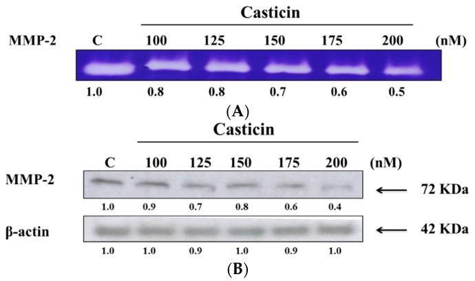 https://cdn.ncbi.nlm.nih.gov/pmc/blobs/fce1/6274196/c166dda19d1b/molecules-21-00384-g005.jpg