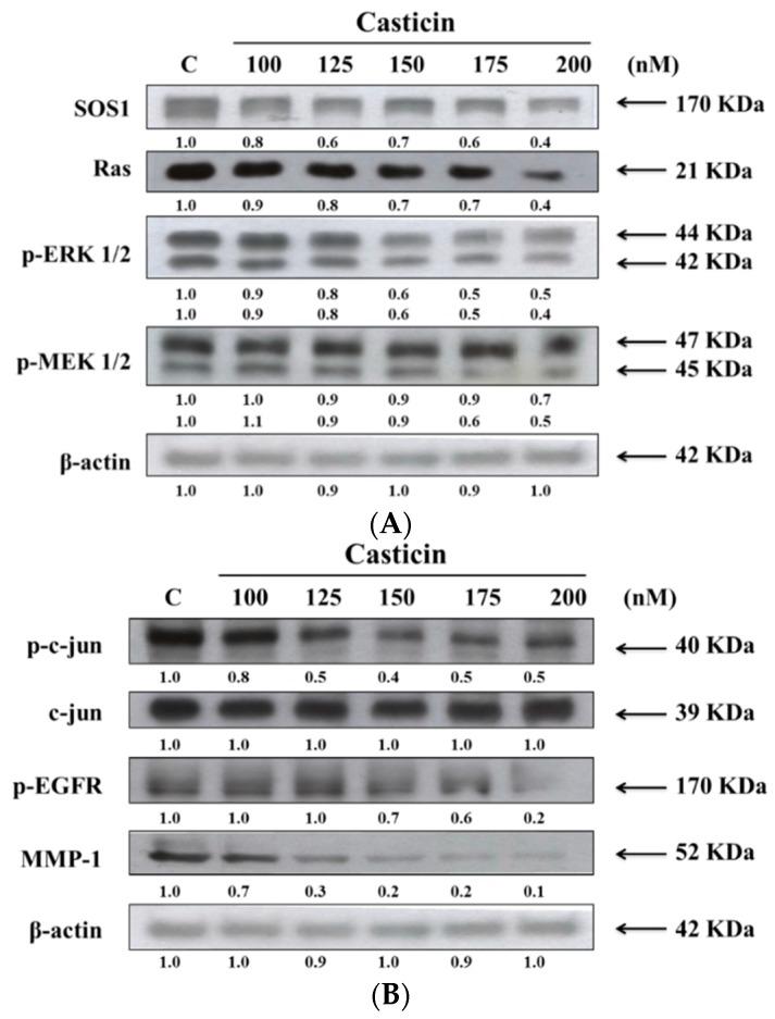 https://cdn.ncbi.nlm.nih.gov/pmc/blobs/fce1/6274196/cb05e642628d/molecules-21-00384-g007.jpg