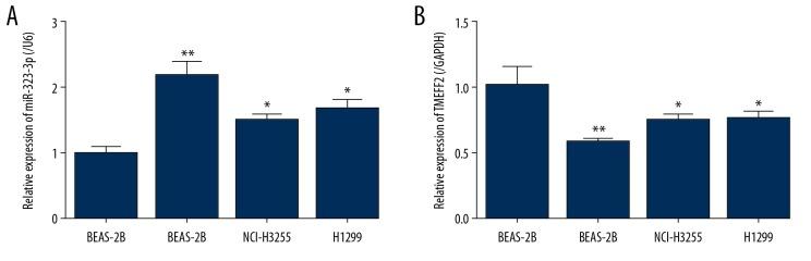 https://cdn.ncbi.nlm.nih.gov/pmc/blobs/fce2/7011573/61a3ab3cb686/medscimonit-26-e919454-g001.jpg