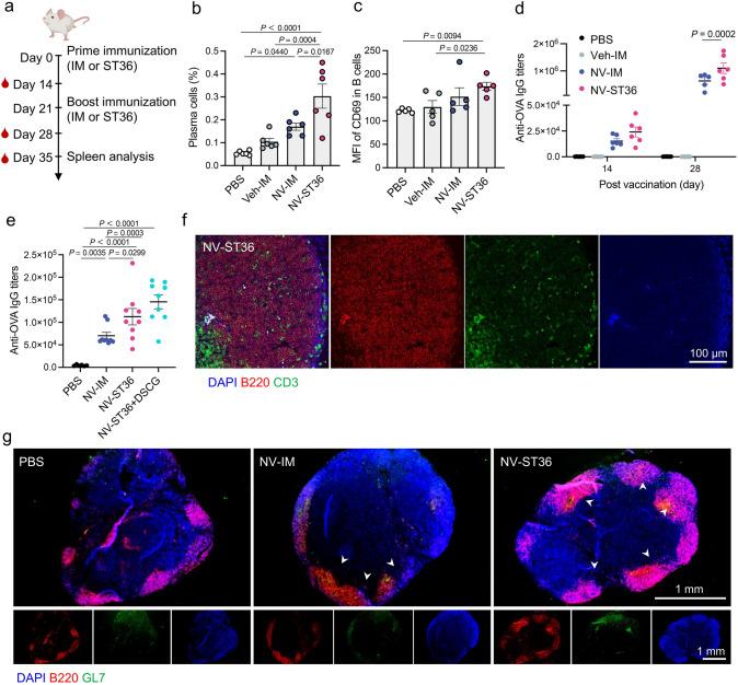 https://cdn.ncbi.nlm.nih.gov/pmc/blobs/fce3/12119423/20c5fc8c4b60/40820_2025_1789_Fig5_HTML.jpg